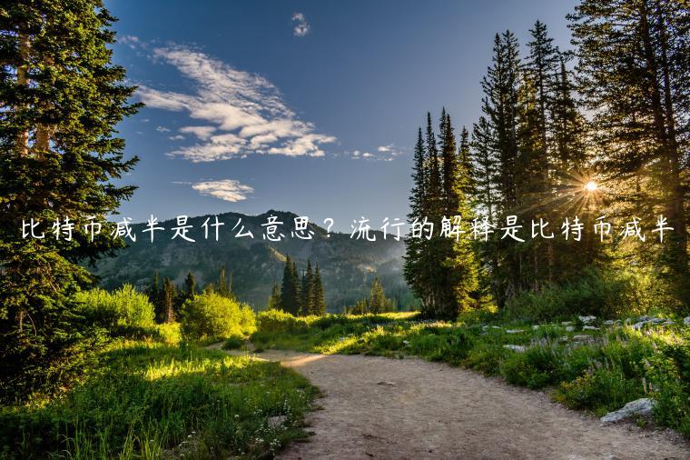 比特币减半是什么意思？流行的解释是比特币减半