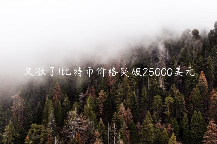 又涨了!比特币价格突破25000美元插图 又涨了!比特币价格突破25000美元