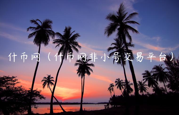 什币网（什币网非小号交易平台）