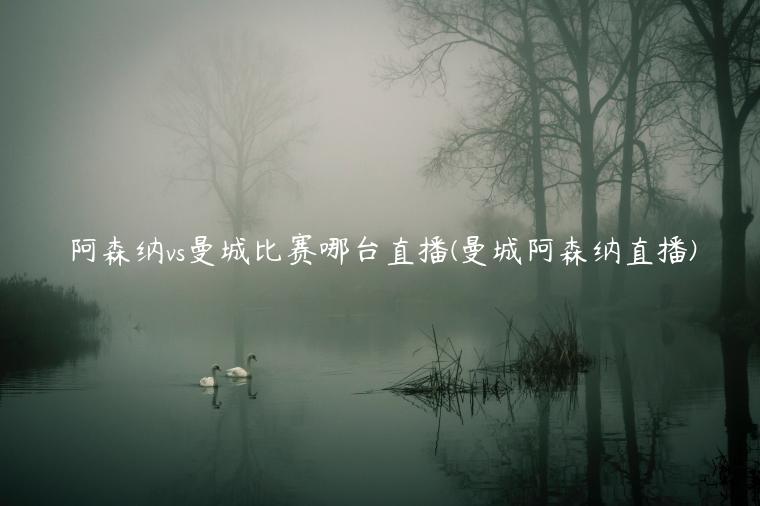 阿森纳vs曼城比赛哪台直播(曼城阿森纳直播)插图 阿森纳vs曼城比赛哪台直播(曼城阿森纳直播)