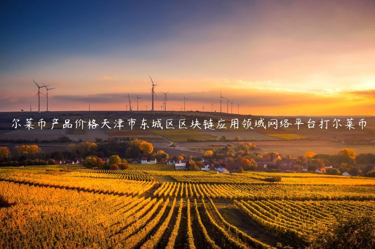 尔莱币产品价格天津市东城区区块链应用领域网络平台打尔莱币