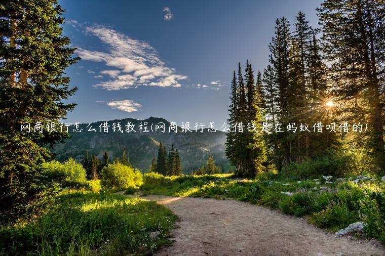 网商银行怎么借钱教程(网商银行怎么借钱是在蚂蚁借呗借的)插图 网商银行怎么借钱教程(网商银行怎么借钱是在蚂蚁借呗借的)