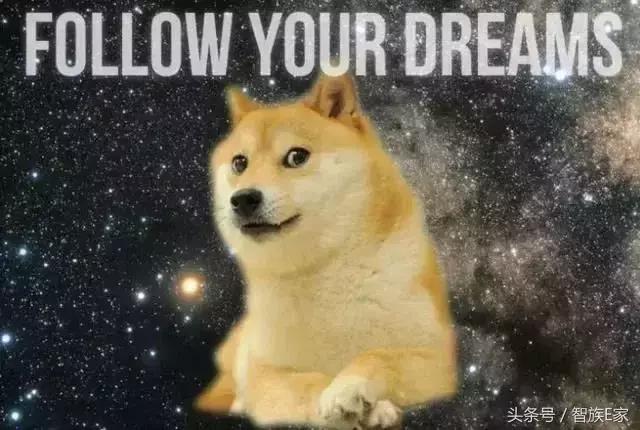 狗狗币在山寨币中脱颖而出，是技术还是价值？,狗狗币哪里去买