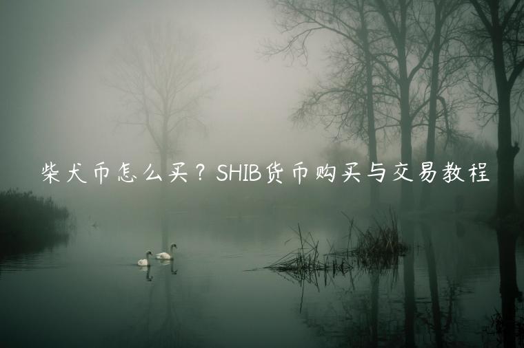 柴犬币怎么买？SHIB货币购买与交易教程
