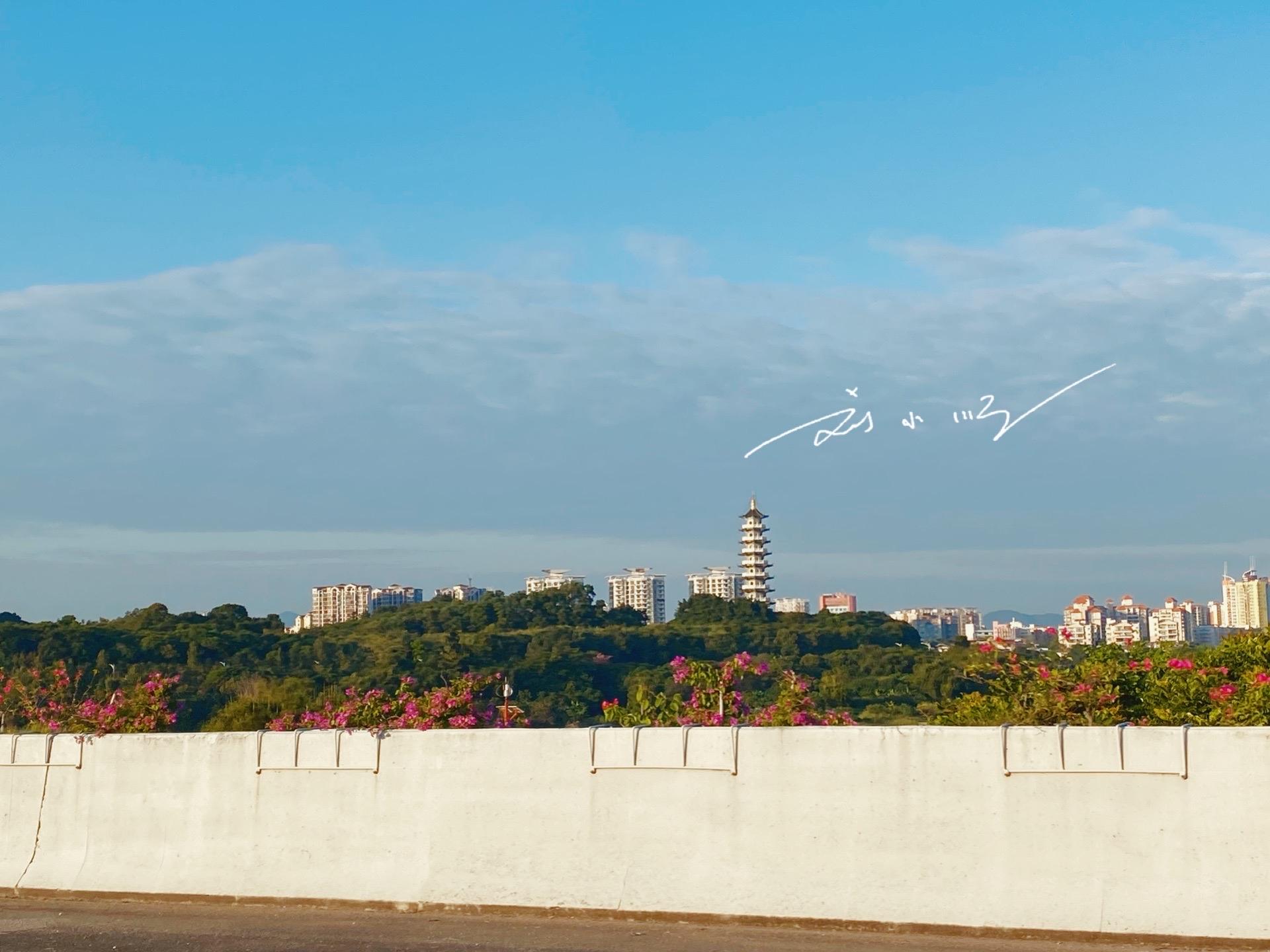 广州有哪些区 有几个区（广州有哪些区 有几个区些）