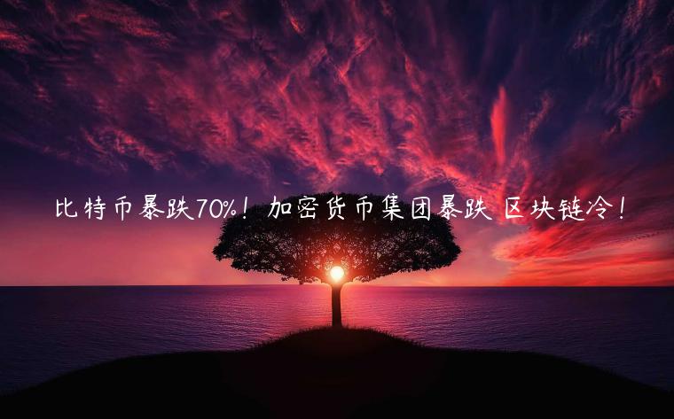 比特币暴跌70%!加密货币集团暴跌 区块链冷!插图 比特币暴跌70%!加密货币集团暴跌 区块链冷!