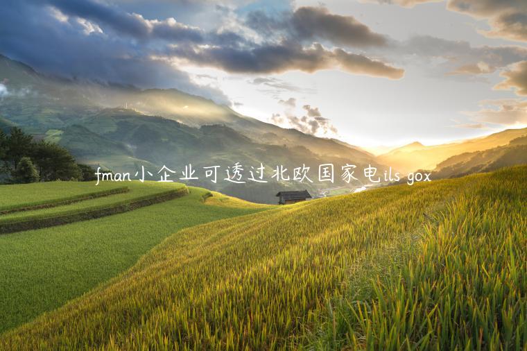 fman小企业可透过北欧国家电ils gox