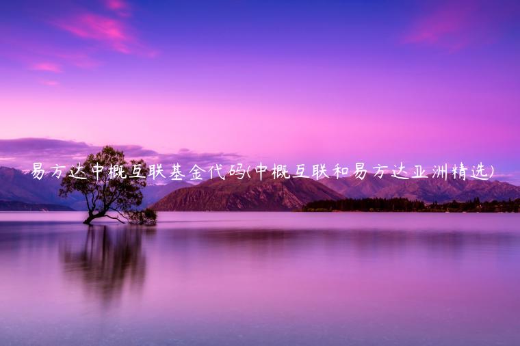 易方达中概互联基金代码(中概互联和易方达亚洲精选)插图 易方达中概互联基金代码(中概互联和易方达亚洲精选)