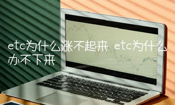 etc为什么涨不起来 etc为什么办不下来