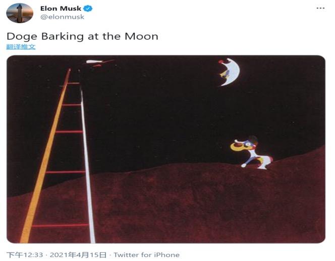 狗狗币价格走势图(狗狗币的价格走势图)