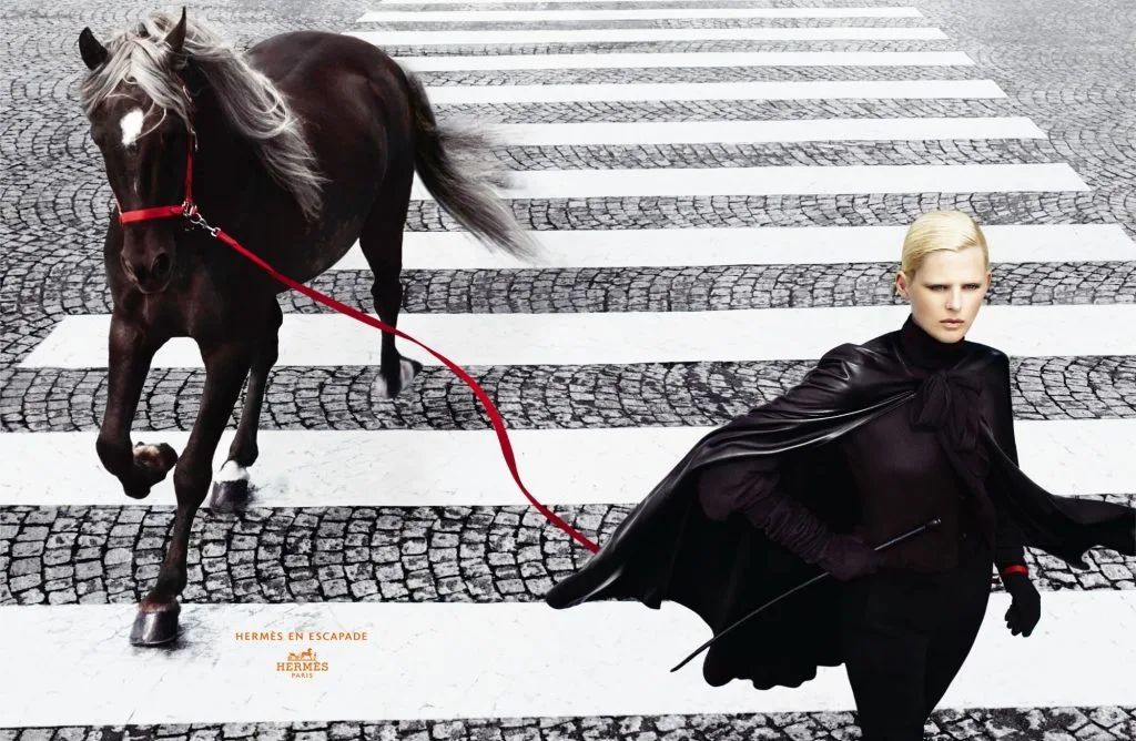 bags币(bags币价格今日行情)