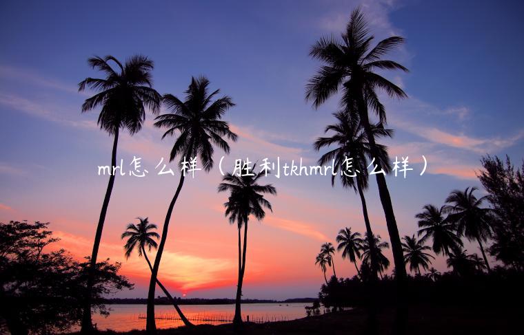 mrl怎么样（胜利tkhmrl怎么样）