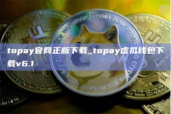 topay官网正版下载_topay虚拟钱包下载v6.1