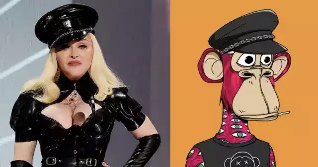 2022年购入无聊猿和Punk的名人们 如今「损失惨重」6