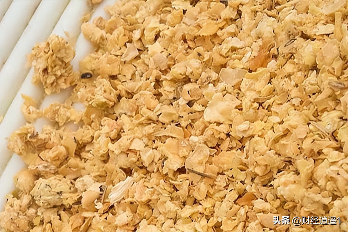 现在玉米价格(现在玉米价格多少钱一斤-)