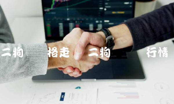 二狗币价格走势 二狗币实时行情