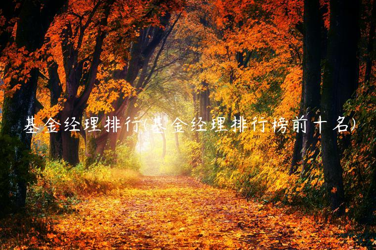 基金经理排行(基金经理排行榜前十名)