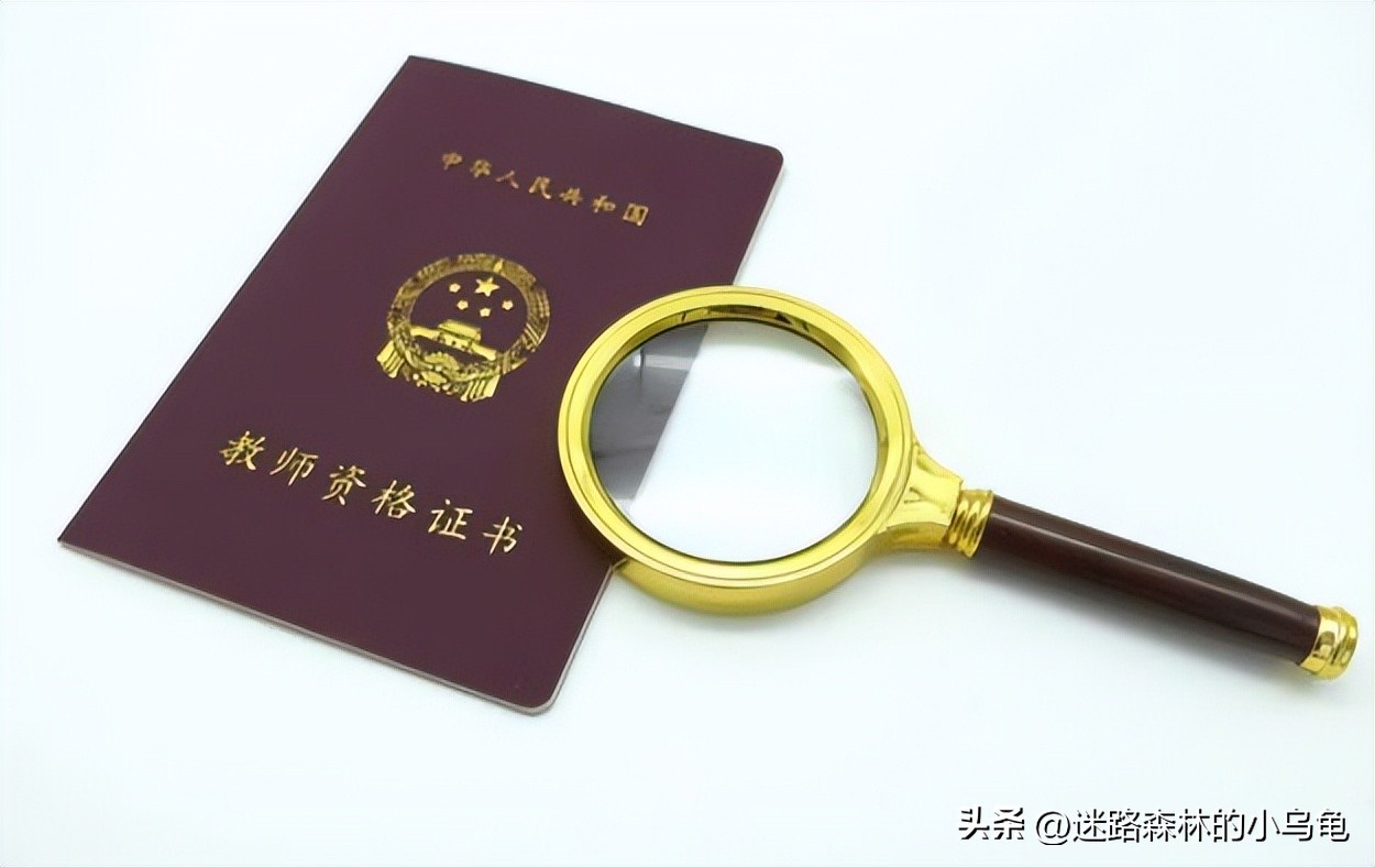 文凭低适合考什么证（没什么文凭考什么证工资最高）2