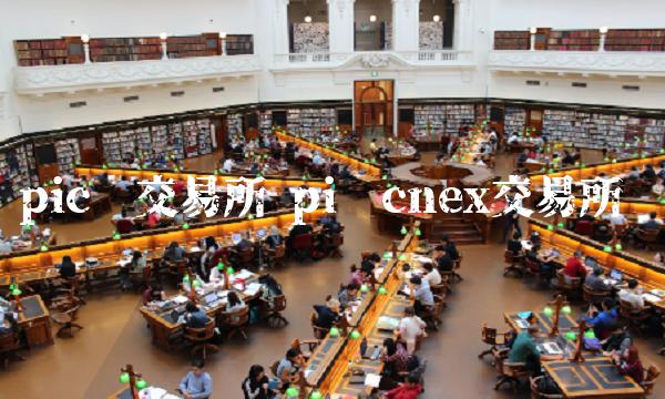 cnex交易所pi