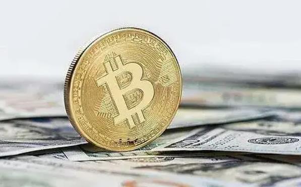 波卡币火的因素有哪些 波卡的创始人是谁 波卡币火的因素有哪些 波卡的创始人是谁