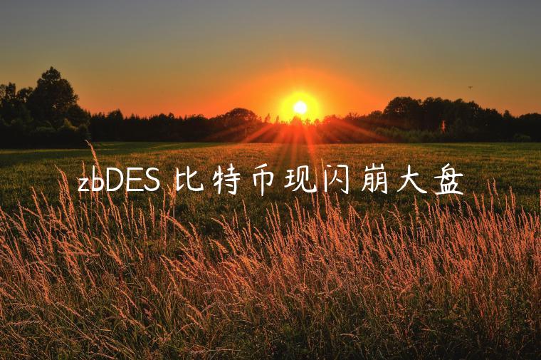 zbDES 比特币现闪崩大盘