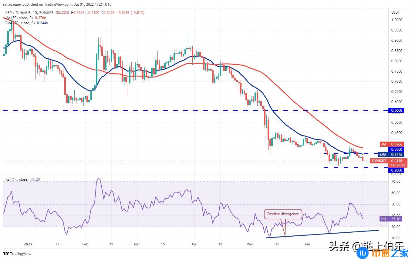 币圈行情分析预测(今年的币圈行情如何)