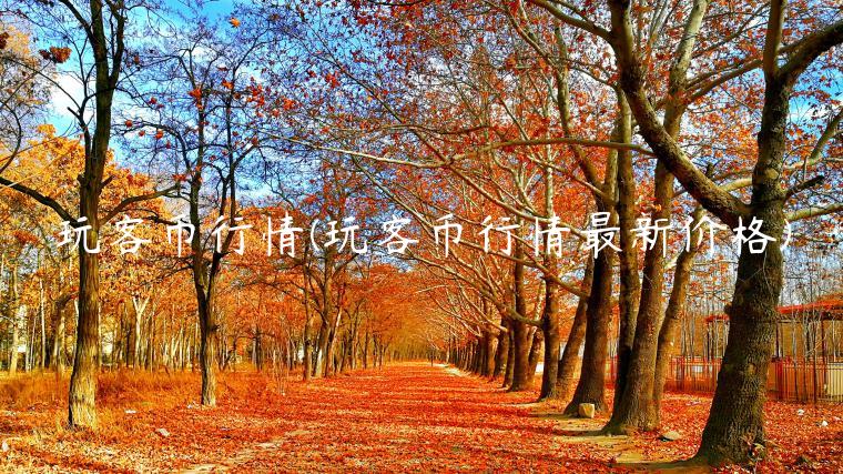 玩客币行情(玩客币行情最新价格)