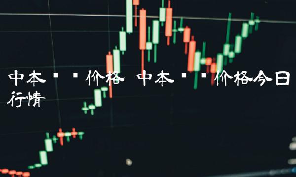 中本聪币价格今日行情
