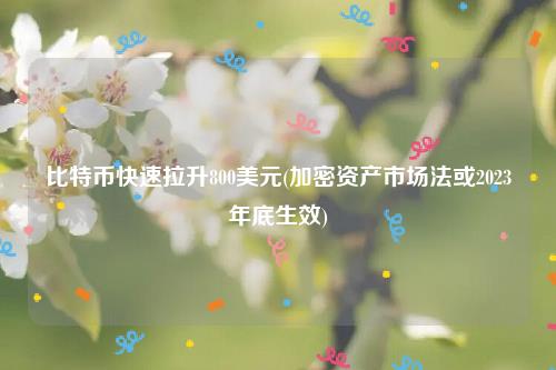 比特币快速拉升800美元(加密资产市场法或2023年底生效)插图 比特币快速拉升800美元(加密资产市场法或2023年底生效)