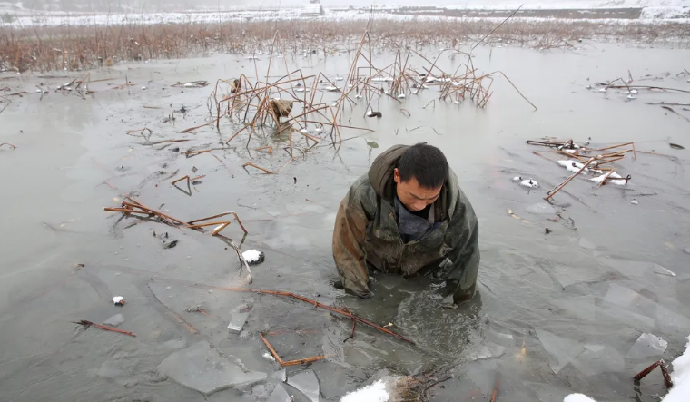 投资10元一小时赚500赚钱（微信投资10元一小时赚500）