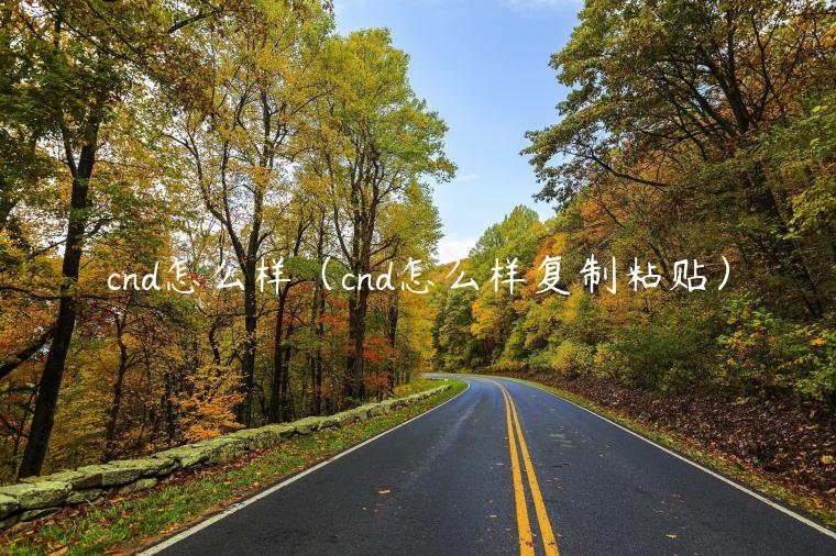 cnd怎么样(cnd怎么样复制粘贴)插图 cnd怎么样(cnd怎么样复制粘贴)