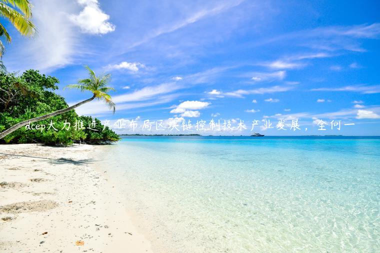 dcep大力推进产业布局区块链控制技术产业发展,全何一插图 dcep大力推进产业布局区块链控制技术产业发展,全何一