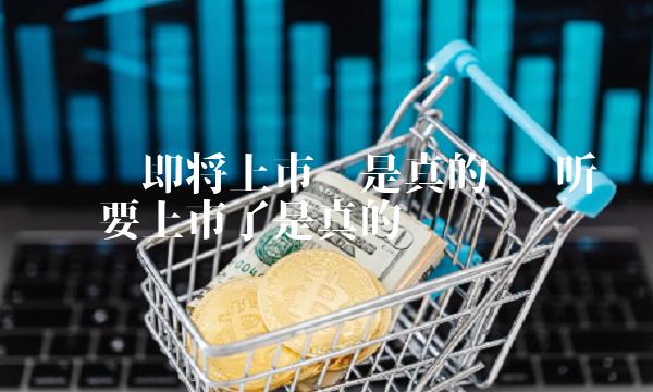 维卡币即将上市吗是真的吗 听说维卡币要上市了是真的吗