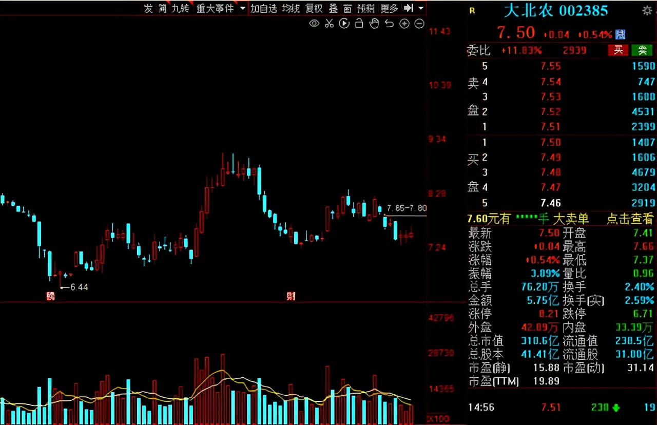 猪肉股票有哪些（猪肉股票有哪些代码）