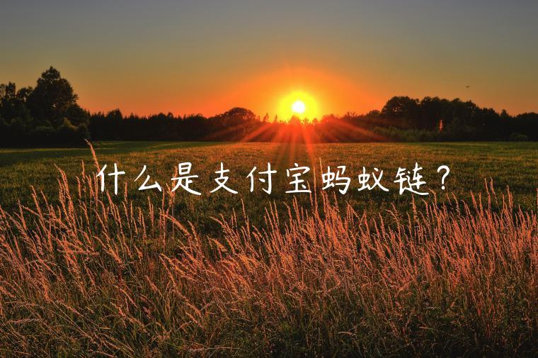 什么是支付宝蚂蚁链?插图 什么是支付宝蚂蚁链?