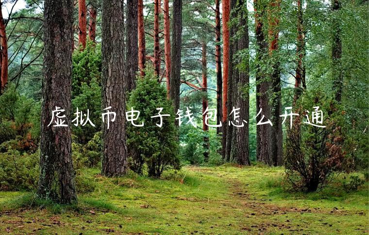 虚拟币电子钱包怎么开通 虚拟币电子钱包怎么开通