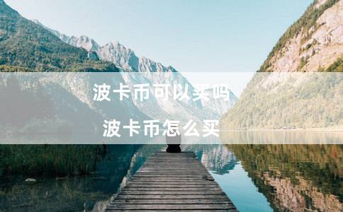 波卡币可以买吗（波卡币怎么买）