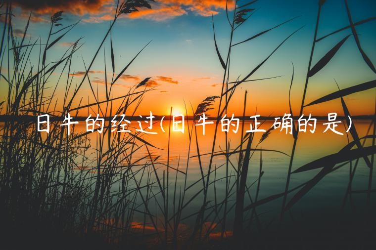 日牛的经过(日牛的正确的是)插图 日牛的经过(日牛的正确的是)
