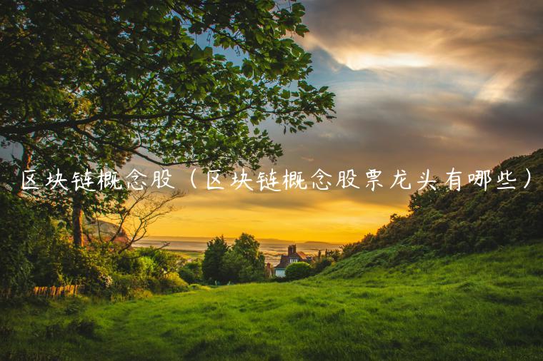 区块链概念股（区块链概念股票龙头有哪些）
