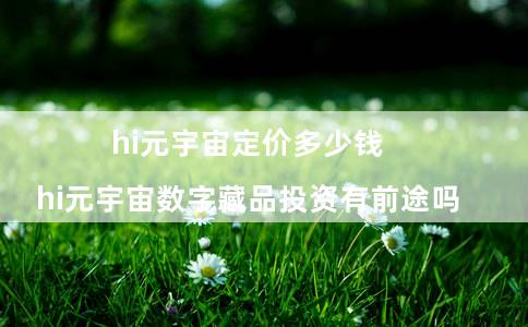 hi元宇宙定价多少钱（hi元宇宙数字藏品投资有前途吗）