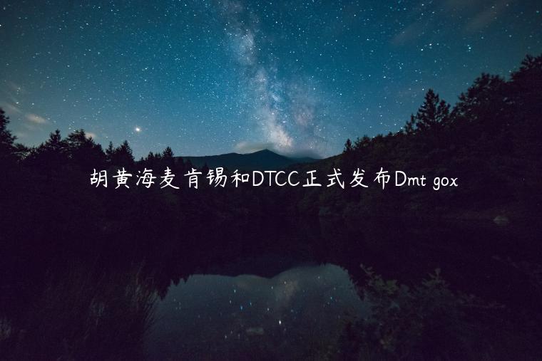胡黄海麦肯锡和DTCC正式发布Dmt gox