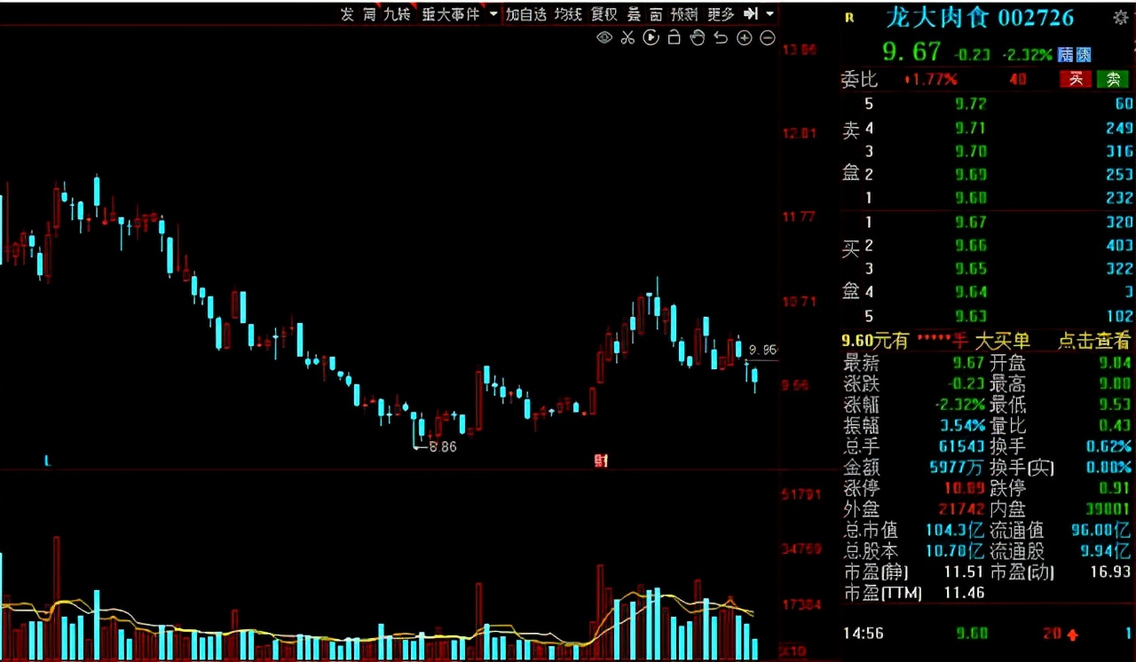 猪肉股票有哪些（猪肉股票有哪些代码）