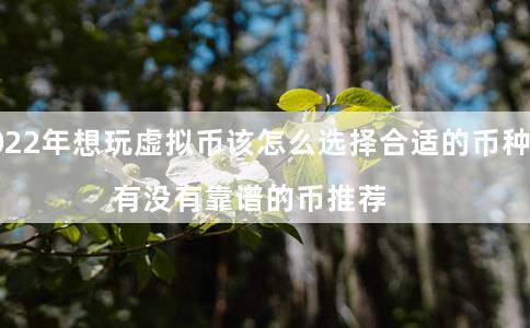 2022年想玩虚拟币该怎么选择合适的币种（有没有靠谱的币推荐）