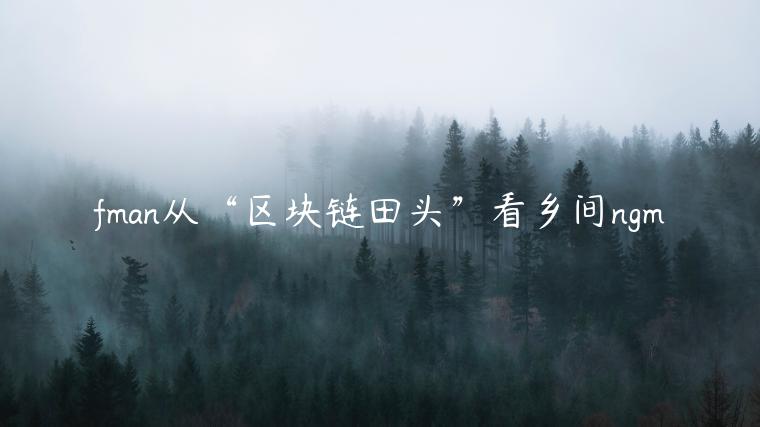 fman从“区块链田头”看乡间ngm