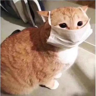 可孚口罩质量怎么样（可孚口罩真假）