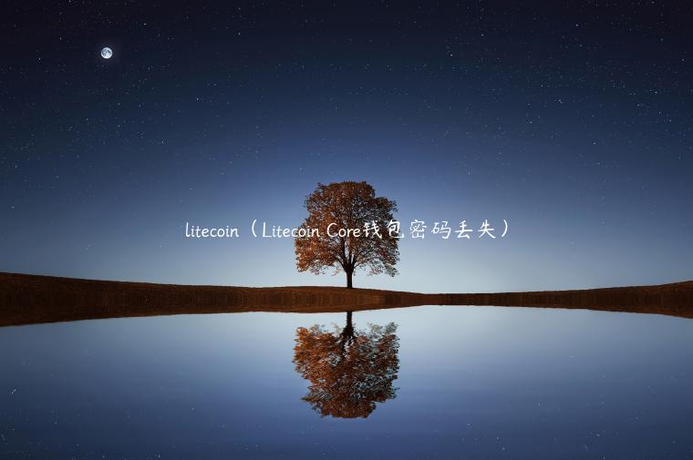 litecoin（Litecoin Core钱包密码丢失）