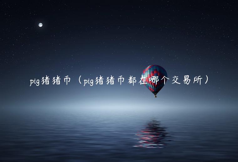 pig猪猪币（pig猪猪币都在哪个交易所）