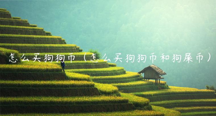 怎么买狗狗币(怎么买狗狗币和狗屎币)插图 怎么买狗狗币(怎么买狗狗币和狗屎币)