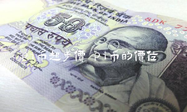 pi币起步价 pi币的价位