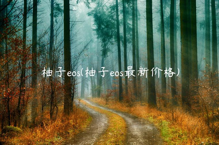 柚子eos(柚子eos最新价格)